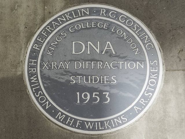 Rosalind Franklin, Raymond Gosling, Herbert Wilson, Maurice Wilkins, and 1 other - R. E. Franklin R. G. Gosling H. R. Wilson M. H. F. Wilkins A. R. Stokes King's College London DNA X-ray diffraction studies 1953