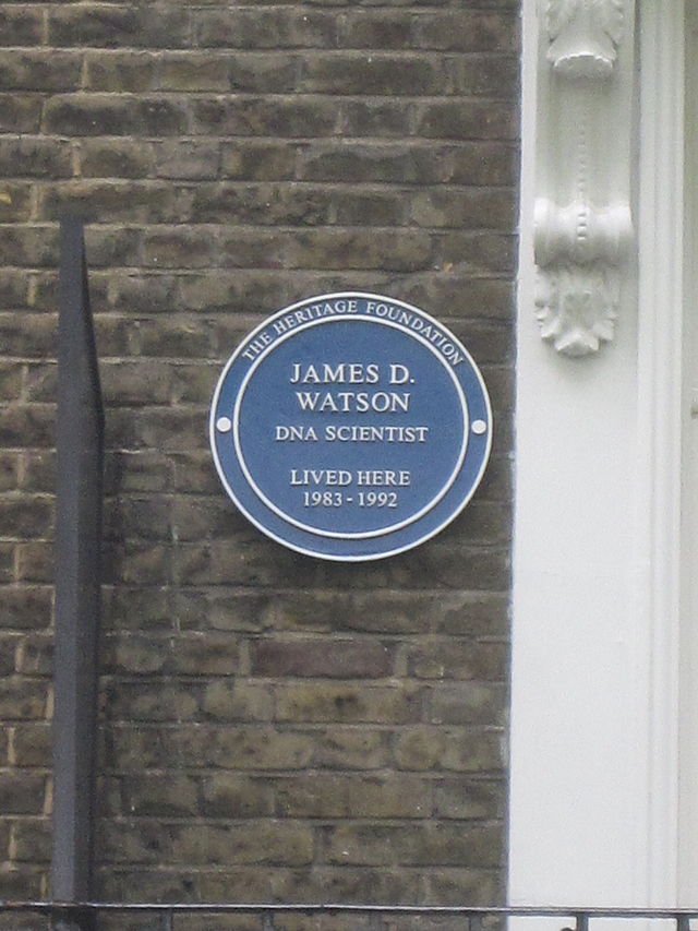 James Watson blue plaque - James D. Watson, DNA scientist. Lived here 1983-1992.
