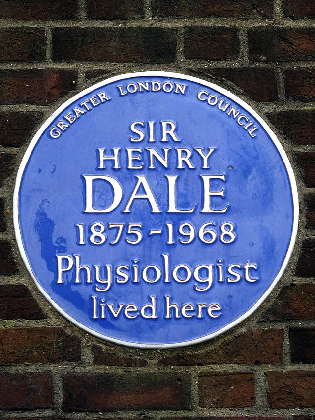 Henry Hallett Dale blue plaque - Sir Henry Dale 1875-1968 physiologist lived here