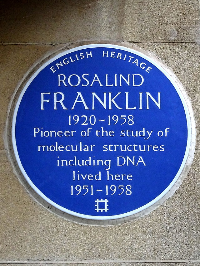 Rosalind Franklin blue plaque - Rosalind Franklin 1920-1958 pioneer of the study of molecular structures including DNA lived here 1951-1958