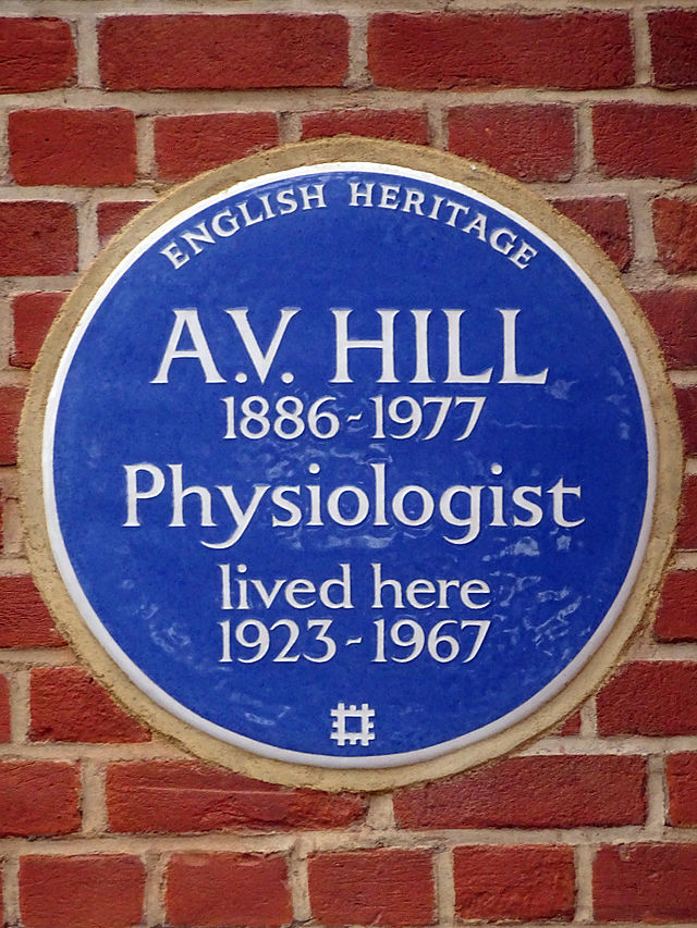 Archibald Hill blue plaque - A. V. Hill 1886-1977 Physiologist lived here 1923-1967