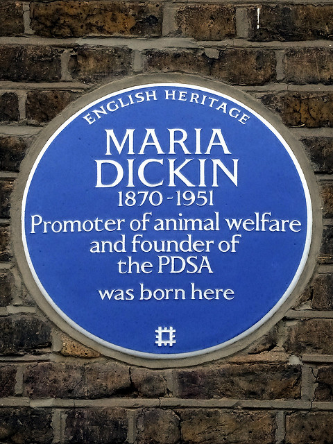 Maria Dickin blue plaque - Maria Dickin 1870-1951 Promoter of animal welfare and founder of PDSA was born here