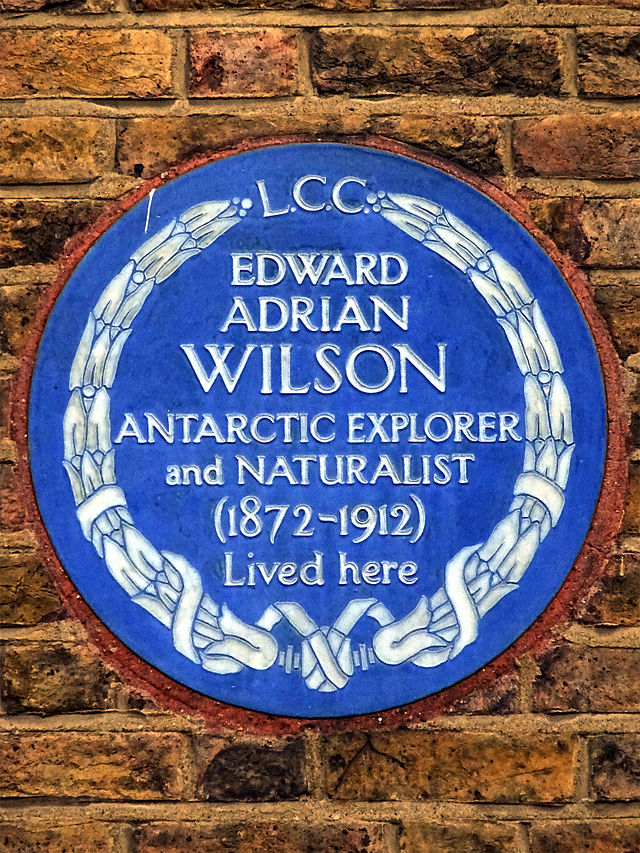 Edward Adrian Wilson blue plaque - Edward Adrian Wilson 1872-1912 Antarctic explorer and naturalist lived here