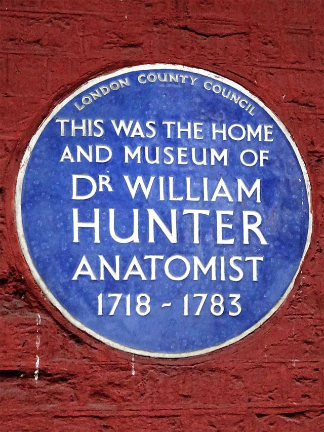 William Hunter blue plaque - This was the home and museum of Dr William Hunter anatomist 1718-1783