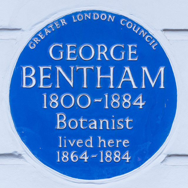 George Bentham blue plaque - George Bentham 1800-1884 botanist lived here