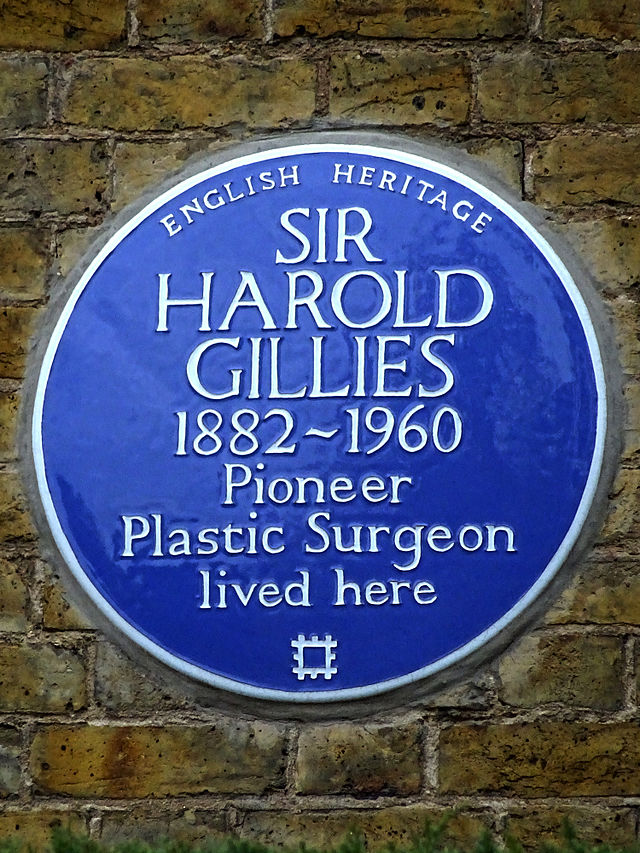 Harold Gillies blue plaque - Sir Harold Gillies 1882-1960 pioneer plastic surgeon lived here
