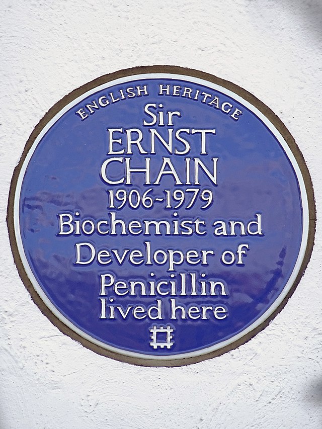 Ernst Chain blue plaque - Sir Ernst Chain 1906-1979 biochemist and developer of penicillin lived here