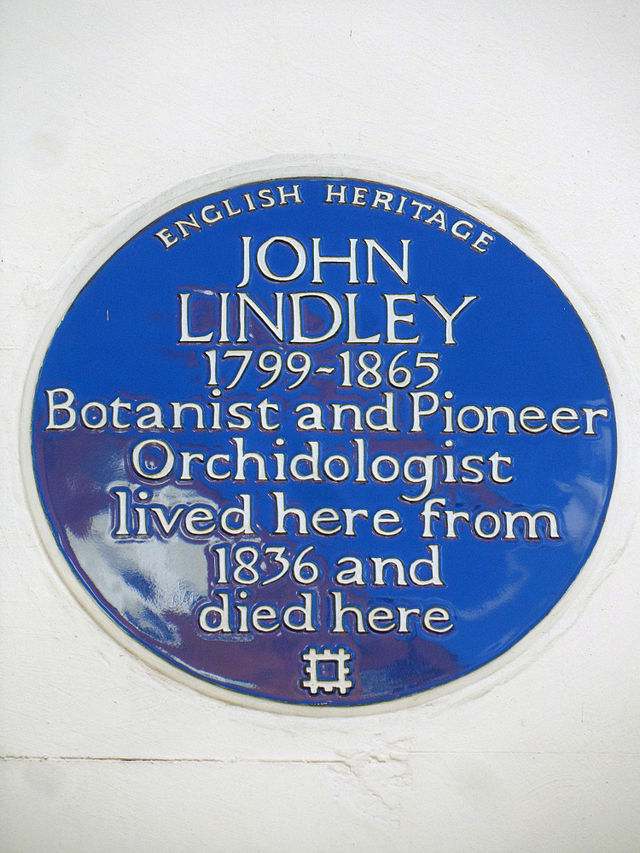John Lindley blue plaque - John Lindley 1799-1865 botanist and pioneer orchidologist lived here from 1836 and died here
