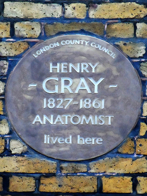 Henry Gray brown plaque - Henry Gray 1827-1861 anatomist lived here