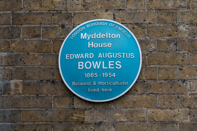 Edward Augustus Bowles blue plaque - Myddelton  House  Edward Augustus Bowles  1865 – 1954  Botanist and Horticulturalist  lived here